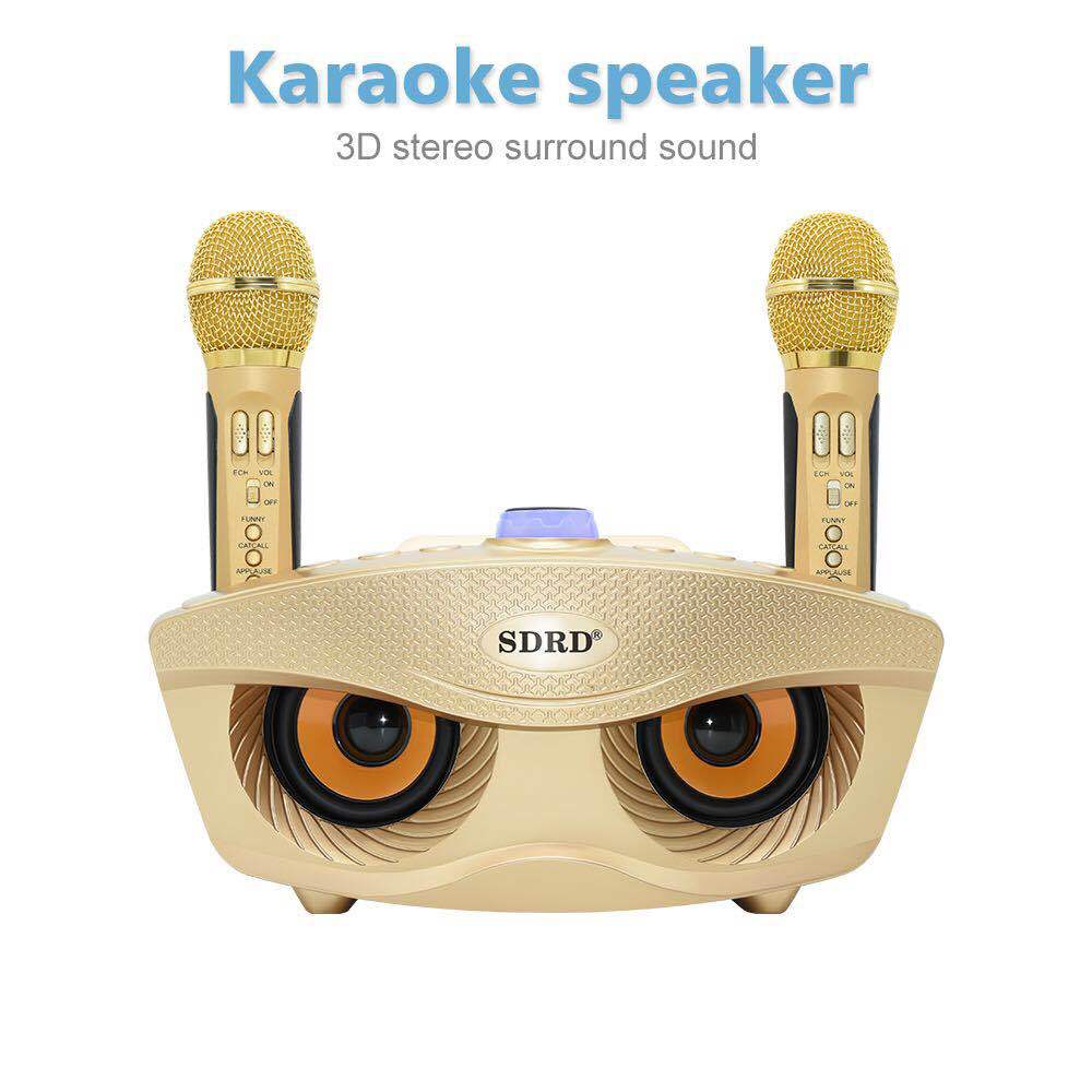 SD306 Microphone Home KTV Portable Sound Card Wireless Live Wireless Microphone Bluetooth Audio Integration