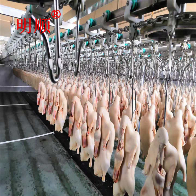 N 供应鸡鸭宰杀流水线 活禽屠宰生产线 蛋鸡宰杀线 十年制造经验