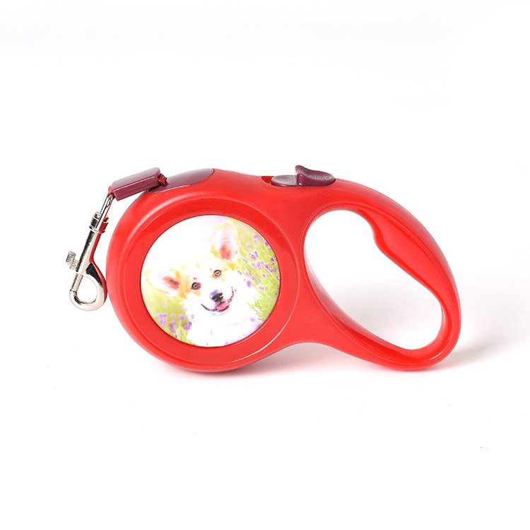 Nuevo pequeño perro automático retráctil cuerda de tracción perro caminando artefacto mascota cuerda de tracción perro suministros generación pelo