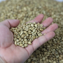 咖啡豆;绿茶;咖啡生豆
