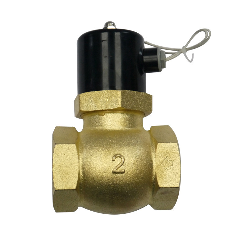 厂家供应2L先导活塞式黄铜蒸汽电磁阀 电磁阀