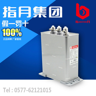ָ����������BSMJL0.45-16-3/1 BSMJL0.4-16-3/1����ʽ�����