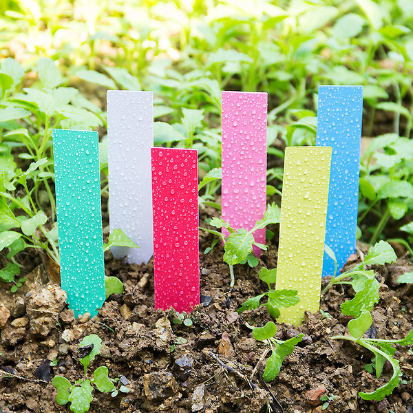 PVC Plastic Waterproof Gardening T -type flower label tags Plant…