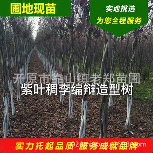 �F�����~�������͘� ��U���p�L���^�p�� �@�ֹ��̲��~�������~��