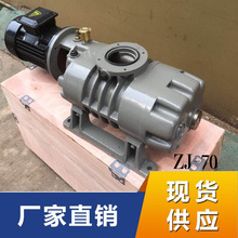 ZJ-70羅茨真空泵現貨批發zj系列旋轉式鑄鐵羅茨泵高真空泵