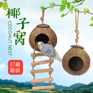 �B���ӻ�Ƥ�������B�CҬ���W�^�C���B��Ҭ�Ӛ��B�C ��ů��ҧ
