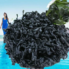 海带;海藻类;其他水产加工