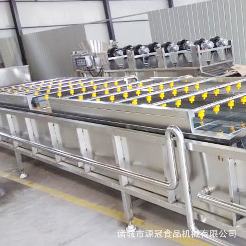 果蔬气泡清洗机  不锈钢萝卜大枣大姜清洗线 樱桃洗果机 厂家供应