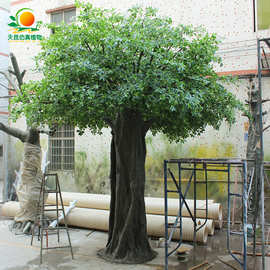 天昆仿真福禄桐树大型商场植物造景装饰仿真树仿真阻燃福禄桐树枝