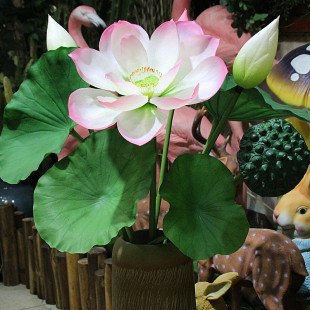 �S�ҚW������ֲ����~�ɻ�ɏ����ֹ�PU�ָ��b[�����滨��