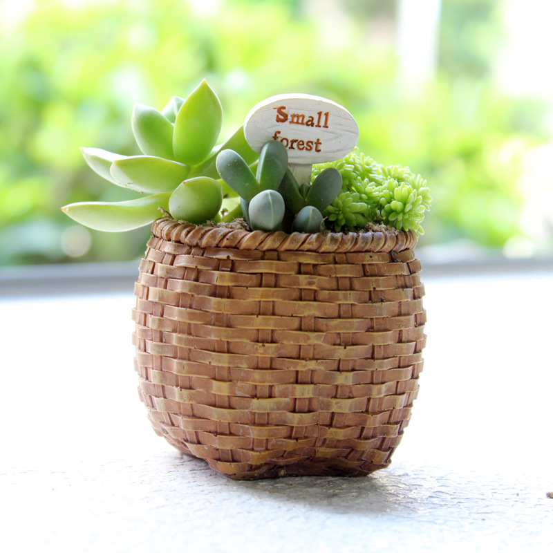 Chậu Cây Resin Chậu cây mọng nước mini resin phong cách hoạt hình, chậu để bàn văn phòng, trang trí tiểu cảnh (RG-91)