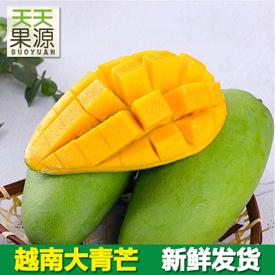 产地直供越南大青芒9斤整箱金煌大芒果青芒当季水果 新鲜芒果批发|ms