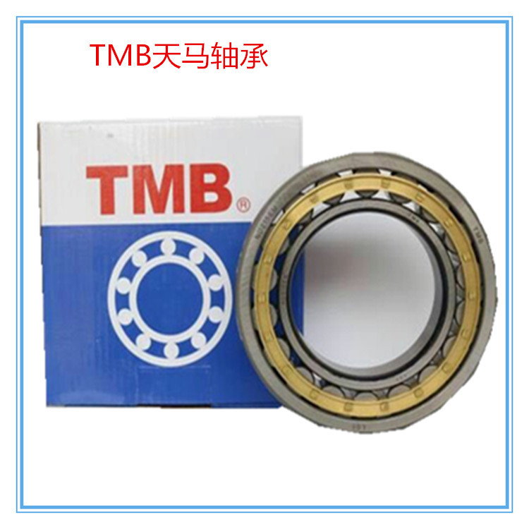TMB浙江天马轴承 NU2219E  NU2220E  NF2222EM 二类圆柱滚子轴承