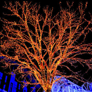 LED�S�����l7.5��50�� ���ջ�c�bM���ǲʟ�����