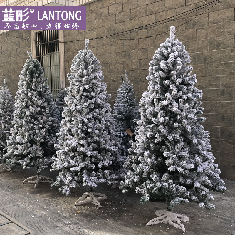 Large flocked snow spray Christmas tree white encrypted simulation…