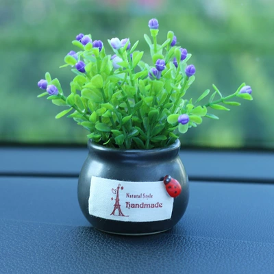 Car ornaments simulation car Car ornaments - purple-auspicious-fruit-black-bottle-carton-packaging