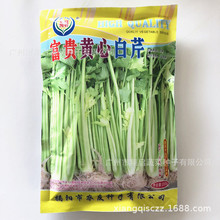 富贵黄心白芹种子 小香芹种子 黄心芹菜种蔬菜种子公司批发四季播