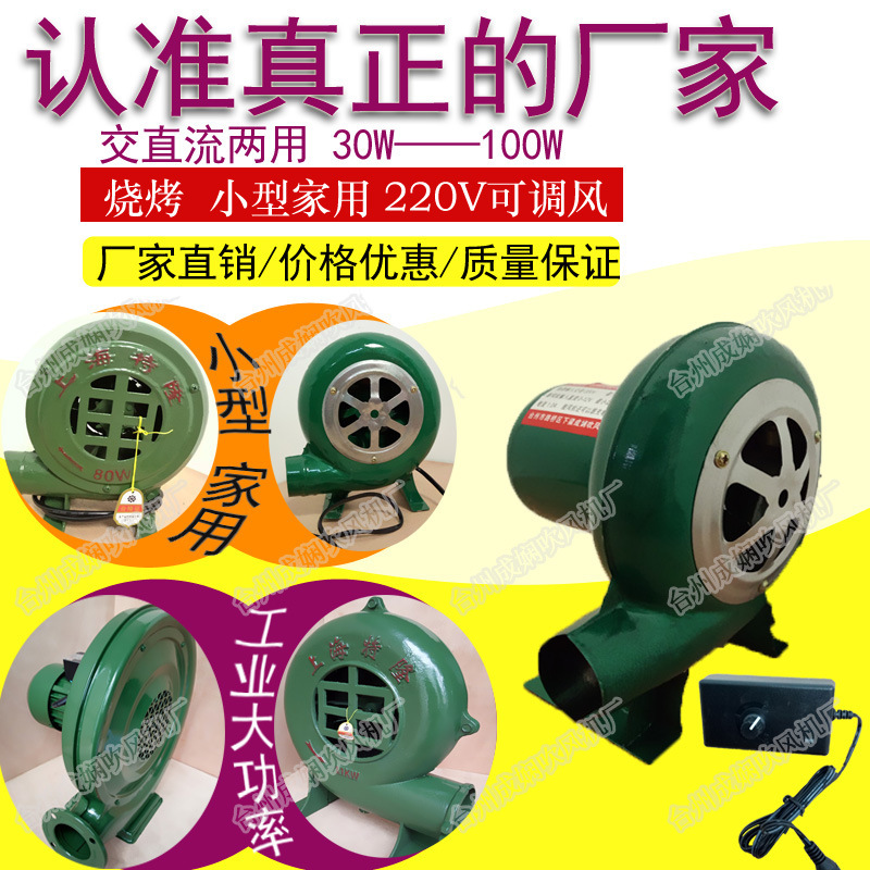 Ac/Dc Blower 220V Small Household 12V Battery Blower Adjustable Speed European Standard American Standard British Standard