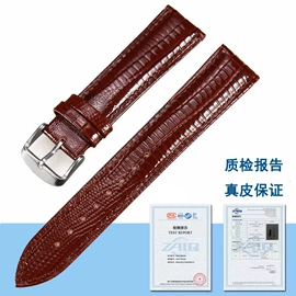 表带;其他表配件