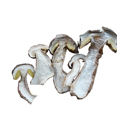 Yunnan White Boletus Dried Goods Delicious Boletus Selected Dry Goods Bulk Wholesale Direct Supply from the Origin