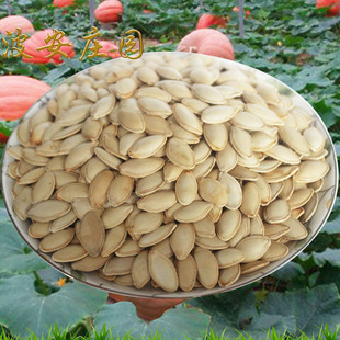 ���J�� ԭζ�Ϲ��ӳ�؛�N�Ƽӹ��ǹ��ӳ��� salt Pumpkin seeds