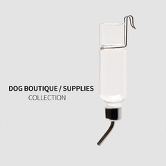 犬用品自動浄水器テディ法斗は水を飲みます。