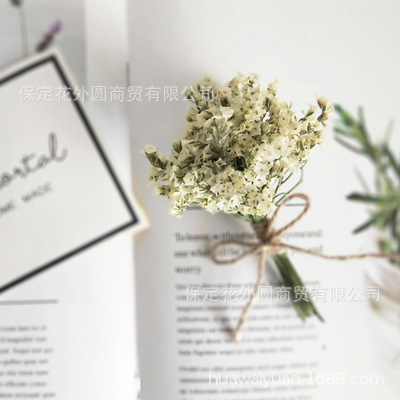 Mini ramo de flores secas, caja de regalo de rosas, decoración de tarjetas, material DIY, accesorios de fotografía, regalos de flores