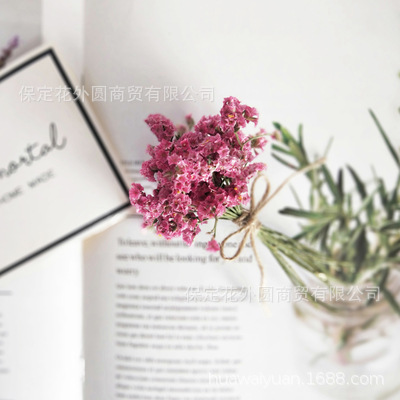 Mini ramo de flores secas, caja de regalo de rosas, decoración de tarjetas, material DIY, accesorios de fotografía, regalos de flores