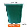 Round plastic flowerpot for growing plants, increased thickness