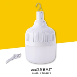 LED球泡灯;吸顶灯;节能灯