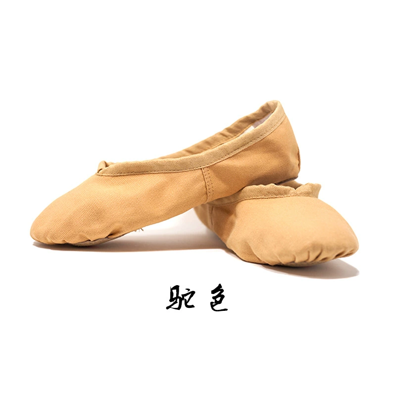 Танцевальная песня для взрослых, обувь с кошачьим когтем, парусиновая танцевальная обувь, женская обувь для тренировок на мягкой подошве, обувь для йоги, балетки