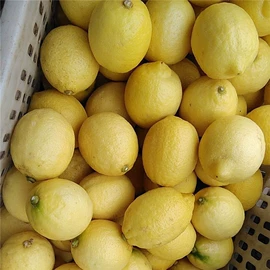柠檬