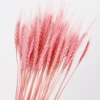 Pink (50)