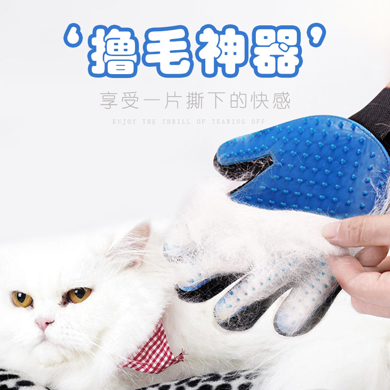 고양이 장갑