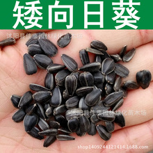 ݻN ͿN տ տ ^p Ϳ 1=1