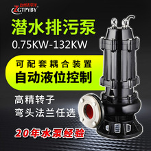 泵站足功率无堵塞排污泵污水泵农用灌溉潜污泵生活污水处理提升泵
