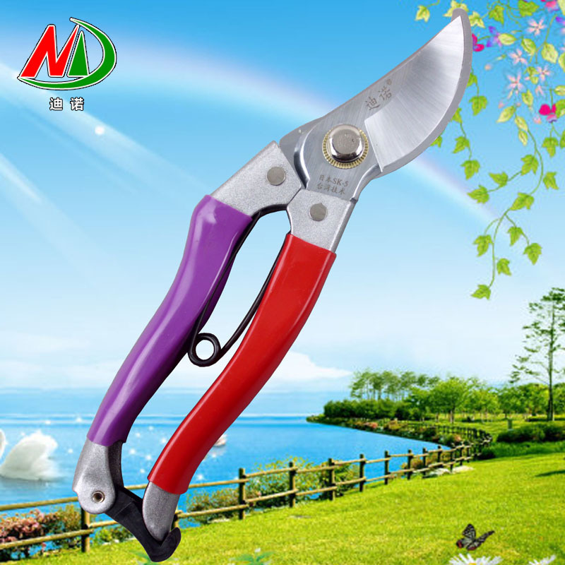 Factory Price Wholesale Dino Garden Pruning Tools Taiwan sk-5 Fruit Branch Shears Gardening Fruit Tree Pruning Shears Sharp Scissors