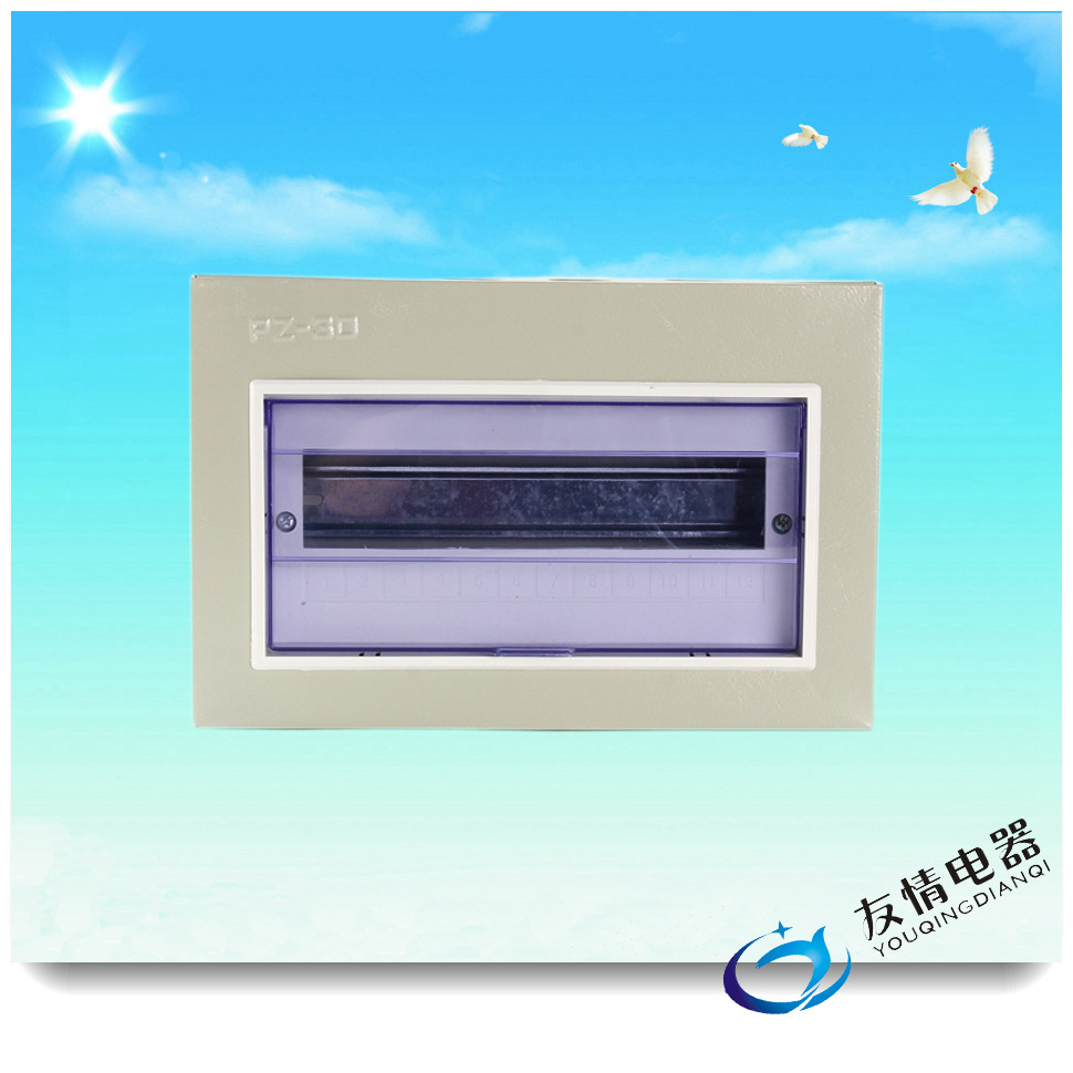 PZ30明装强电箱空开家用12回路箱大量批发路灯照明配电明装挂墙式