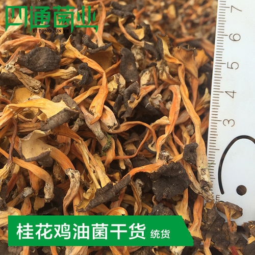 Supply of dried chanterelles, sweet-scented osmanthus chanterelles dried goods, factory wholesale bulk, dried sweet-scented osmanthus mushrooms
