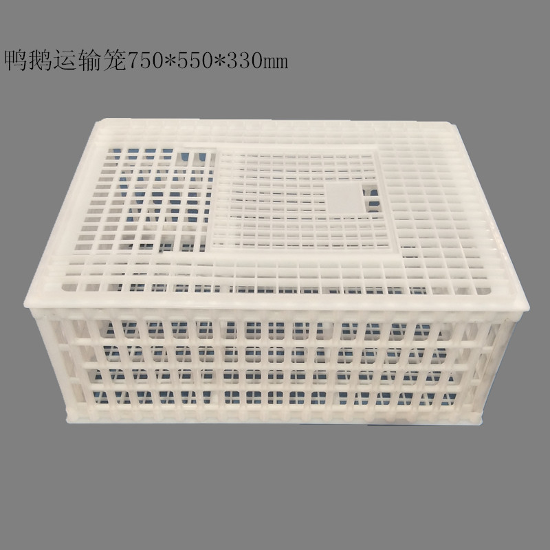 加高塑料鸡笼子 鸭笼子 装鹅笼子 兔笼子
