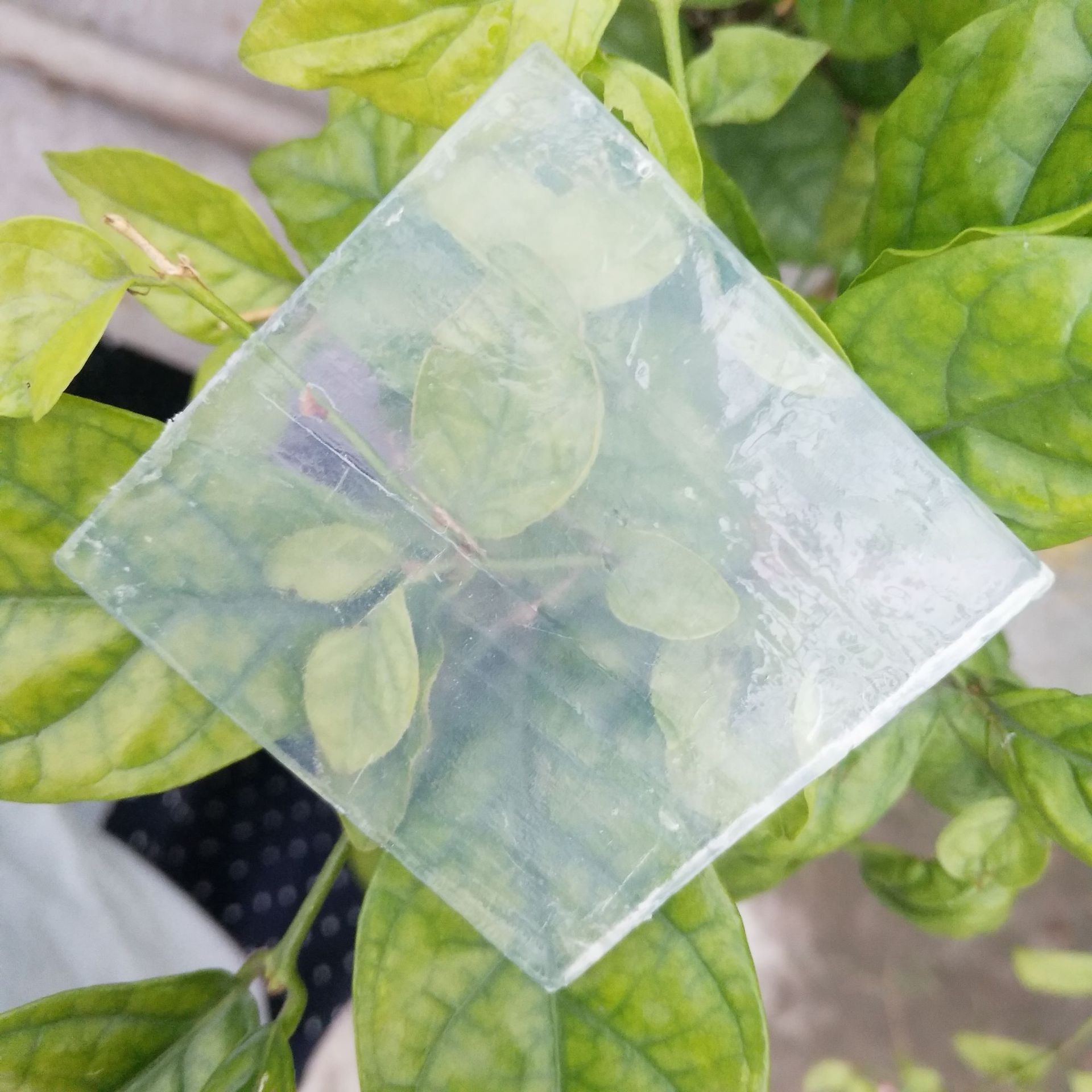 不冒水不易糊化DIY手工皂原料温和滋润婴幼儿适用植物油透明皂基