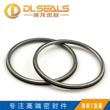 DLSEALS金属空心C型圈 弹簧增强型合金密封圈 718不锈钢C型圈