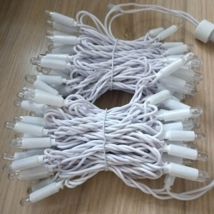 Factory wholesale LED glue filling light string bubble shell light string Christmas lights holiday decoration lights landscape lights