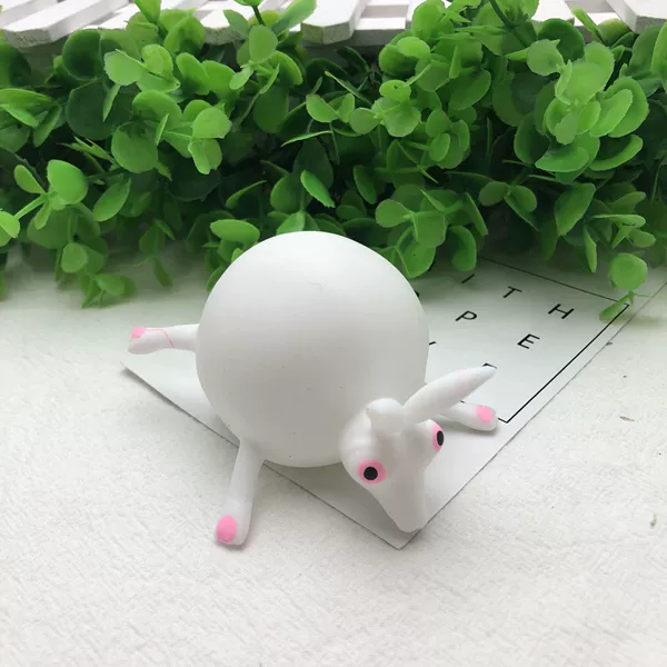 Little white rabbit