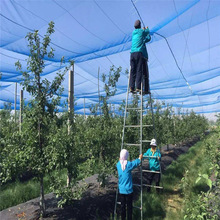 宜豪美牌通风不遮光抗拉扯农用PE防虫网尼龙塑料防蚊纱窗网