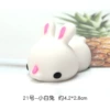 No. 21 Little White Rabbit