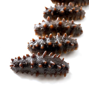 ���ɺ�����؛�����r����̅��ЋD���B���M���]