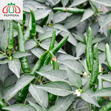 ����712���и��r����9���׆��������N����ζ���������D�u���D��t