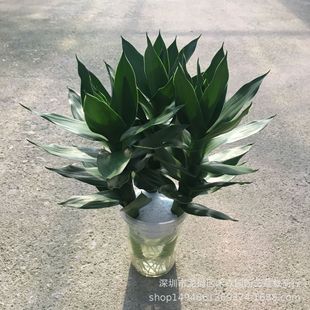 ����ֱ�����l�^��������ˮ��ɏ�����F��ؔ�؛Դ�Gֲ���Ӻɻ���