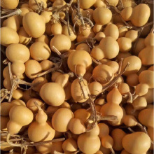 J﹝ͨ؛СJ控^ְѼСl